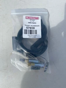 Blodgett 57658 Pilot Assembly With Ignition Wire - Picture 1 of 6