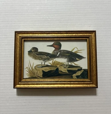 Audubon Framed Print American Green Winged Teal 5 1/2 X 8 Inches - Image 1 of 4