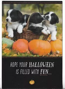 NEW Hallmark HALLOWEEN Card 4.5x7 Hope Halloween is Fun! Puppies in a Basket - Picture 1 of 3