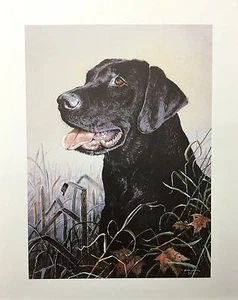 Estampado de perro Scott Zoellick "Black Lab" 6,5X9,5 - Imagen 1 de 2
