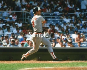 Póster fotográfico estampado de béisbol de los Orioles de Baltimore Cal Ripken Jr 8x10 CR1 - Imagen 1 de 1