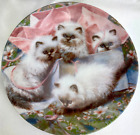 Cat Collector Plate Himalayans Cat Fanciers Series Amy Brackenbury Knowles 1988