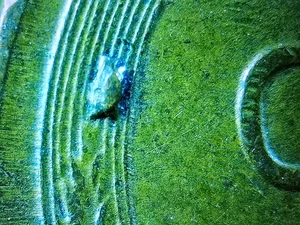 1953 P Lincoln Wheat Cent Die Chip Left Wheat Stalk AU Die Break Error Penny - Bild 1 von 5