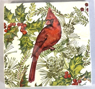 传统冬青午餐假日纸餐巾纸2层7公斤16张 — 第 1/4 张图片