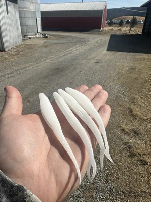 BILLTOWN BAITS 35ct 5" White forktail fluke Split Tail Jerk Bait For Bass Fishing