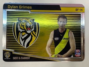 2022 Teamcoach Silver Best & Fairest BF-14 Dylan Grimes Richmond