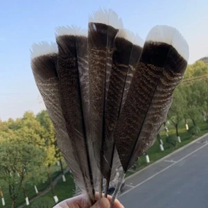 Nuevas plumas preciosas de cola de pavo salvaje 10/20/50 piezas 10-13 pulgadas/24-33 cm - Imagen 1 de 5