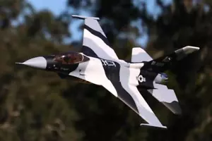 Freewing F 16 Arctic Camo EPO 878mm High Performance PNP V3 EDF Impeller Jet - Bild 1 von 19