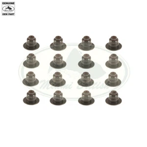 LAND ROVER VALVE STEAM SEAL SET x16 RR SPORT RANGE LR4 5.0L V8 LR078819 OEM - Bild 1 von 1