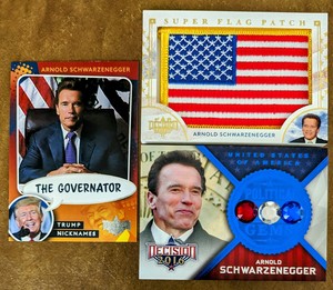 2022 Decision 2016 ARNOLD SCHWARZENEGGER NN44 ~ Flag SF51 ~ Political Gems G47