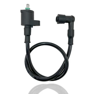 BOBINA DE ENCENDIDO KAWASAKI BAYOU 250 KLF 250 2003 2004 2005 2006 2007 2008 - 2011 Foto 1 de 4