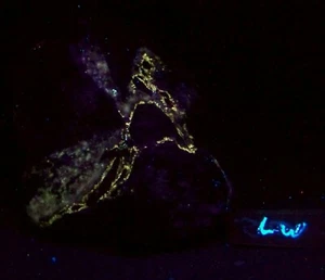 Fluorescent Piece of AZ Yellow Fluorescing Calcite SW UV Specimen - Picture 1 of 8