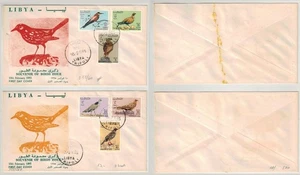 FDC LIBYEN 1965 Verschiedene Vögel - Bild 1 von 1