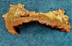 Myrtenblock | Schalendrehen | Holzdrehen | Basteln | bl23-0443 - Bild 1 von 3