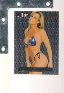1992-2003 Benchwarmer CHROMIUM LIQUID HOTTIES PRISM Pick From List UpTo30%OFF! - Picture 1 of 63
