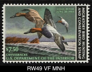 RW49 ss postfrisch 1982 Canvasbacks US Federal Duck Stamp Migratory Waterfowl postfrisch - Bild 1 von 3