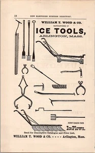 1881 William T Wood & Co Ice Tools Patent Clearing Tooth Plow ARLINGTON Print Ad - Bild 1 von 2