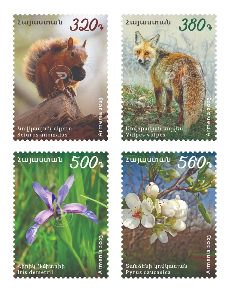 Armenia 2023 MNH** Mi 1371-1374 Flora Fauna Ardilla Caucásica Zorro Iris Pyrus Foto 1 de 1
