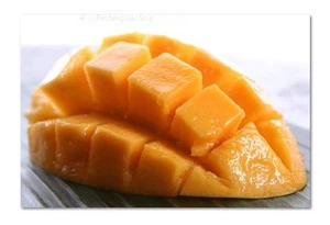 Exotic,collectable,Fruit Tree Mangifera indica "Bowen/Kensington Pride" Mango - Picture 1 of 6