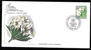 Enveloppe premier jour - Windflower - Yugoslavia Beograd 1979 - Picture 1 of 3