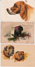 3 CARTOLINE CANI DUE VIAGGIATE 1947 - 1917 - PRIMI NOVECENTO - STOCK - CURIOSITA