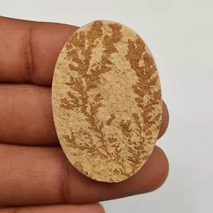 Psilomelane dendrite cabochon oval shape dendritic design healing gemstone M5015 - Picture 1 of 5