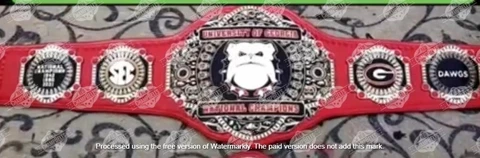 Georgia Bulldogs Back To Back National Championship Belt Adult Size 2mm Brass Cover