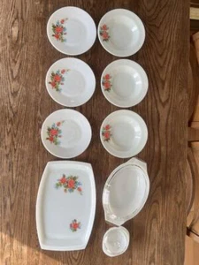Pyrex cottage rose 9-piece set antique from Japan - Picture 1 of 10