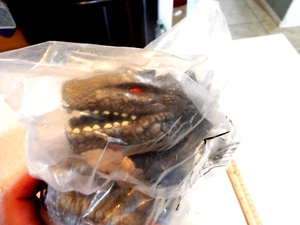 1998 GODZILLA CUP HOLDER Taco Bell Collectible Promotional Sealed Vintage - Picture 1 of 9
