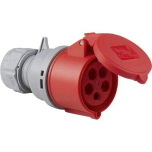 AS Schwabe 60427 60427 Connettore femmina CEE 32 A 5 poli 400 V 1 pz. - Foto 1 di 1