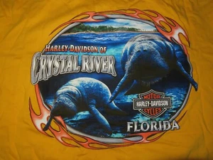 2011 Harley Davidson Motor Cycles Crystal River, Florida Manatee (2XL) T-Shirt - Bild 1 von 4