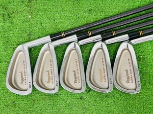 Bridgestone RG-4 Reygrande Extra Deep Iron Set 3-9+PW+P/S+SW RH Harmotec EL2313 - Picture 1 of 9