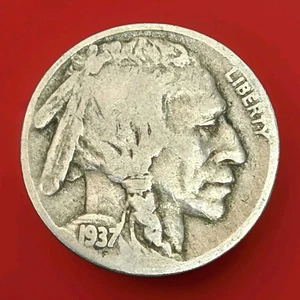 Büffelnickel 1937 sehr guter Zustand zirkuliert  - Bild 1 von 2