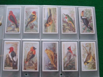 Ogdens-Foreign Birds(C.C.S. Reprint)(c2000)-Full set of 50 in sleeves-EXC - Image 1 of 2