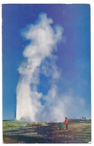 1952 OLD FAITHFUL GEYSER Yellowstone National Park Wyoming Postcard WY - Picture 1 of 2