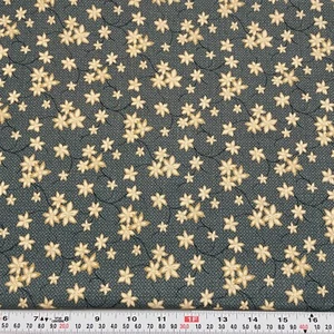 Sunwashed Prints by Thimbleberries RJR Blue Cotton Fabric Remnant 12" x 44" - Picture 1 of 2