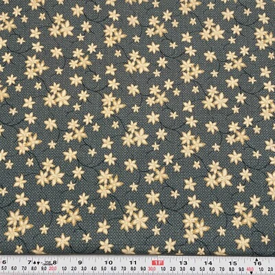 Sunwashed Prints by Thimbleberries RJR Blue Cotton Fabric Remnant 12" x 44" - Image 1 of 2