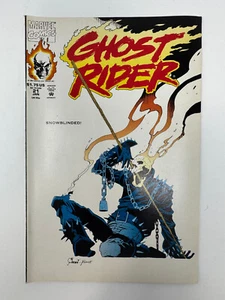 Ghost Rider #21 (enero de 1992, cómics de Marvel) - Imagen 1 de 5