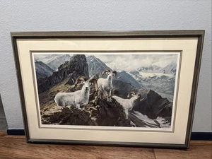 Framed Signed Ron Van Gilder High Trails Dall Sheep - Picture 1 of 12