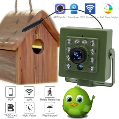 Green Wifi Bird Box Camera Audio 1920P 1080P IR CUT Night Vision RTSP FTP Mini - Image 1 of 4
