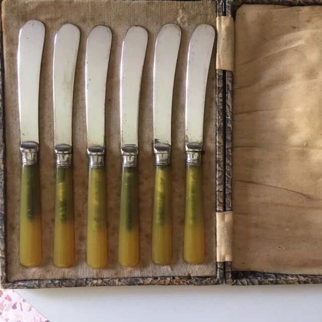 6 bellissimi coltellini da burro EPNS con manici in resina e relativa scatola. - Immagine 1 di 3