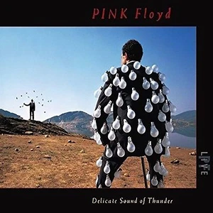 PINK FLOYD - Delicate Sound Of Thunder - 2 CD Digipak - Picture 1 of 1