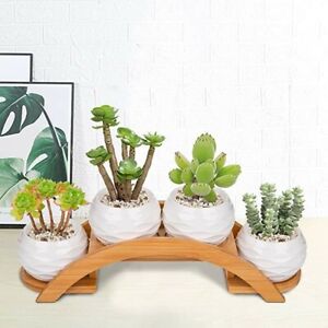 4x Ceramic Succulent Cactus Planter Pots with Bamboo Stand - New