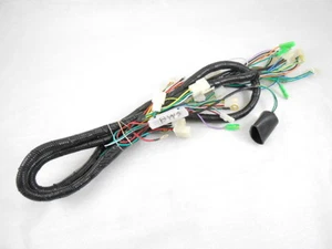 TAO TAO BWS 150CC SCOOTER COMPLETE WIRING HARNESS *OEM* - Picture 1 of 2