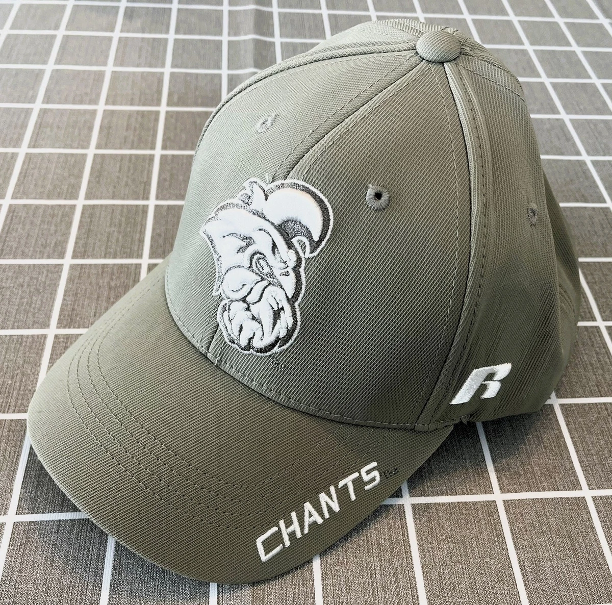 Hey Coastal Carolina University, What's A Chanticleer