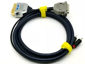CAVO RGB SCART PLACCATO ORO AMIGA 500 600 1200 2000 3000 4000 ORIGINALE DB23 - Foto 1 di 5