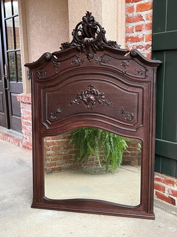 Antique French Trumeau Pier Wall Mirror Louis XV Carved Oak 19th century Cover