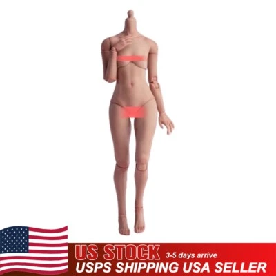 美国 WorldBox 1/6 AT203 女士 Suntan 柔韧身体适合 12 英寸女性人偶头玩具 — 第 1/4 张图片