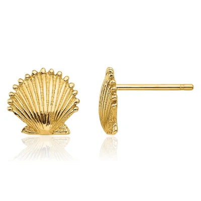 Aretes con caparazón de vieira de oro amarillo macizo de 14K Foto 1 de 4