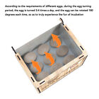 (Single Battery)Hatching Eggs Incubator Constant Temperature Stable Wooden Eg HG
